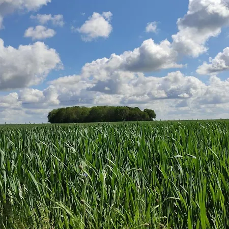 Nyaraló Sonnenschein