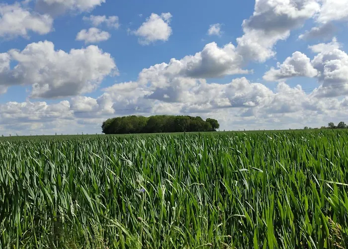 Σπίτι διακοπών Sonnenschein